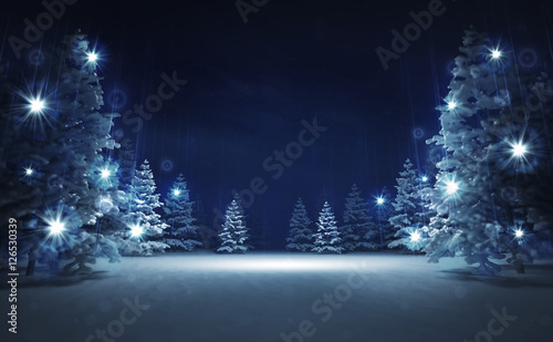 free area in winter glittering magic woods