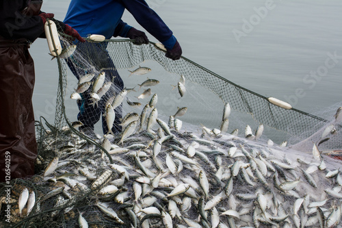 On the fisherman boat,Catching many fish at mouth of Bangpakong river in Chachengsao Province east of Thailand.