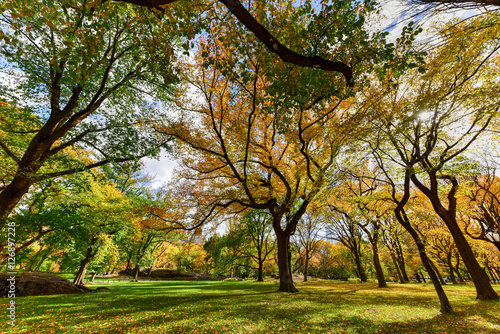 Central Park in Autumn in New York City