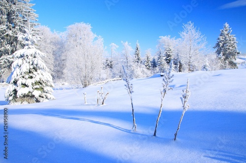 Beautiful winter landscape with nature covered by snow and blue sky in background