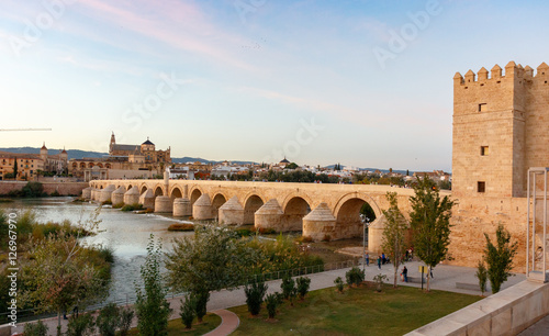 Mezquita de Córdoba desde puente romano