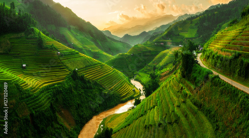 Terraced rice field in Mu Cang Chai, Vietnam