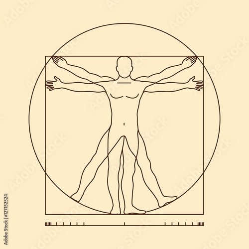 Leonardo da vinci vitruvian man vector illustration