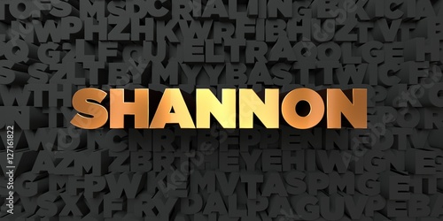 Shannon - Gold text on black background - 3D rendered royalty free stock picture. This image can be used for an online website banner ad or a print postcard.