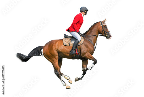 Equestrian sport: rider isolated on white background.