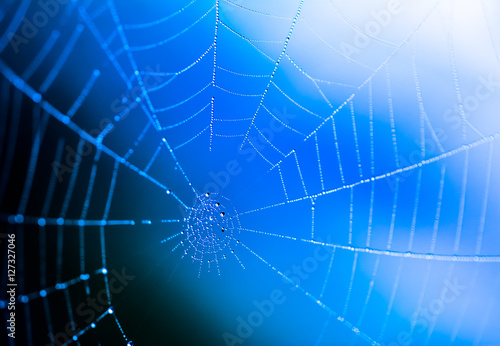 Closeup of a wet spiderweb wtih dew drops