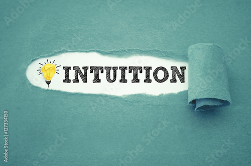 Intuition Wissen Verstand Fachwissen