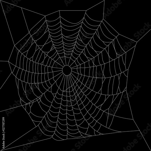 Spider web or net