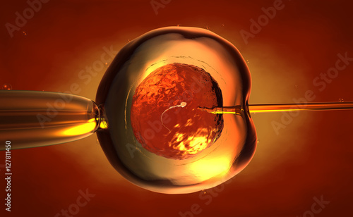 Artificial insemination or in-vitro fertilization of an egg cell,ovum or zygote