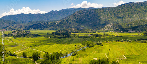 fields and meadows on the Adriatic coast, Croatia