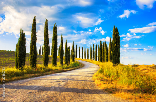 Tuscany, Cyprysowych drzew biały drogowy wiejski krajobraz, Włochy, Europa