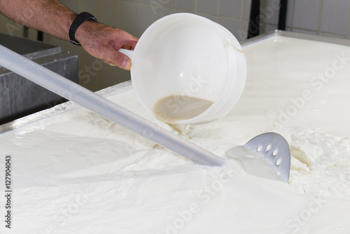 Cheesemaker pours rennet in a large tank full of milk steel