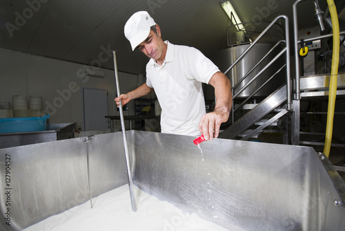 Cheesemaker pours rennet in a large tank full of milk steel