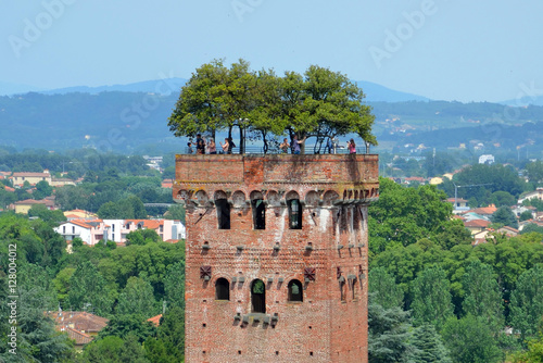 Guinigi Tower in Lucca,Italy