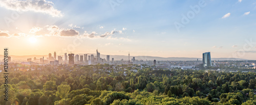 Frankfurt Skyline