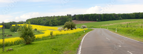 Landschaftspanorama - Landstraße durch Rapsfelder