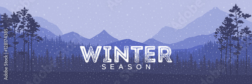 Winter sale words on the beautiful Chrismas flat Winter holidays landscape background with trees, snowflakes, falling snow.
