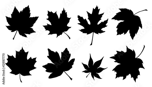 maple leaf silhouettes