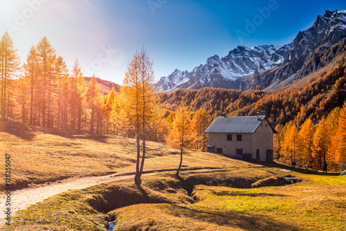 Autumn in the alps ( Alpe Devero Italy )