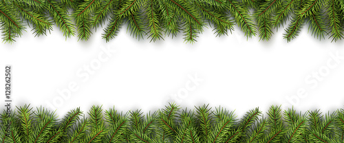 Christmas background green pine tree branches on white