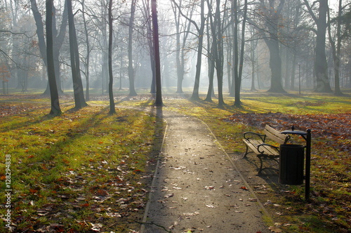 Jesień w parku. 