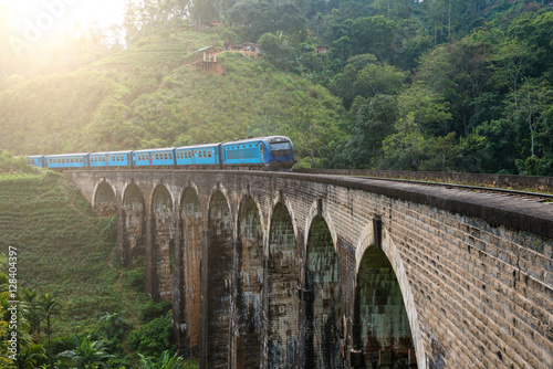 Railway bridge and train