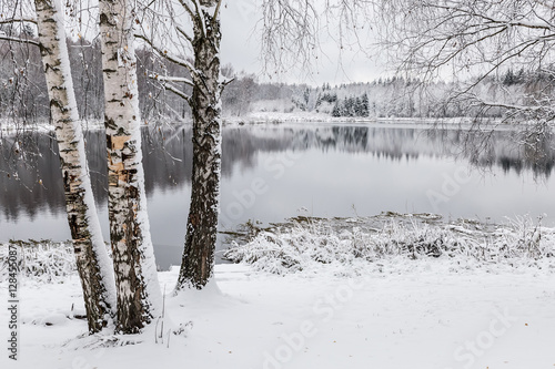 White winter landscape lake in the forest
