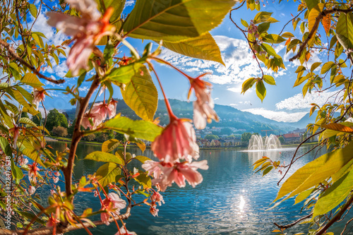 Fountain with spring tree in Bergen, Norway
