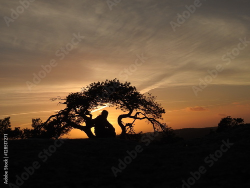 silhouette of a man and a pine tree in the sunset