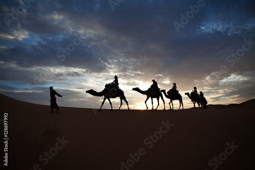 Camel train silhouetted against colorful sky crossing the Sahara