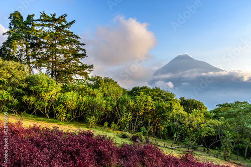 Agua volcano view, Antigua, Guatemala, Central America