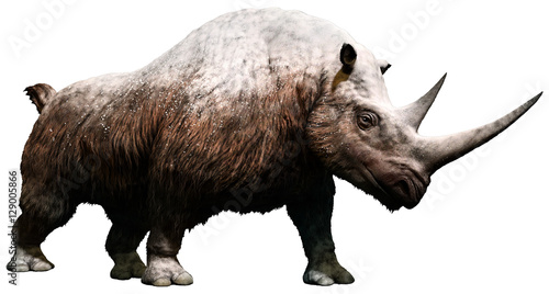 Woolly rhinoceros from the Pleistocene era 3D illustration