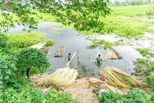 people are processing jute