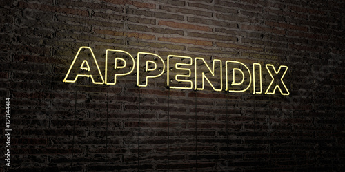 APPENDIX -Realistic Neon Sign on Brick Wall background - 3D rendered royalty free stock image. Can be used for online banner ads and direct mailers..