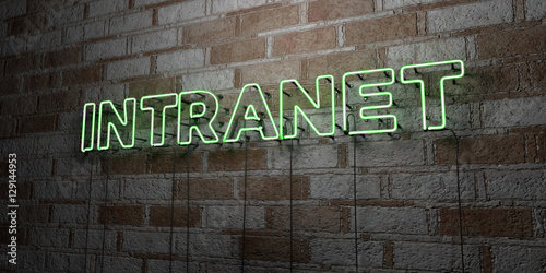 INTRANET - Glowing Neon Sign on stonework wall - 3D rendered royalty free stock illustration. Can be used for online banner ads and direct mailers..