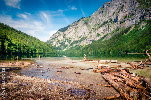 Lago con tronchi in Austria
