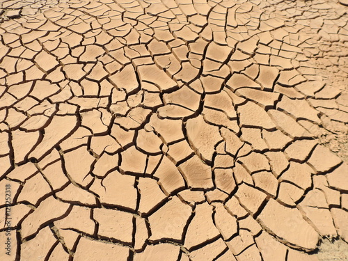 Cracked Dried land