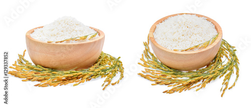 rice plants, grains of Thai jasmine rice in wood bowl on white b