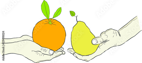 An Illustrated fruit organic food exchange