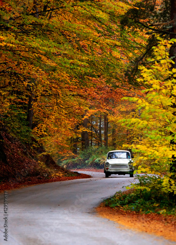 trabant car