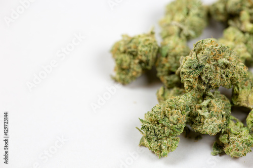 close up of marijuana bud on white background