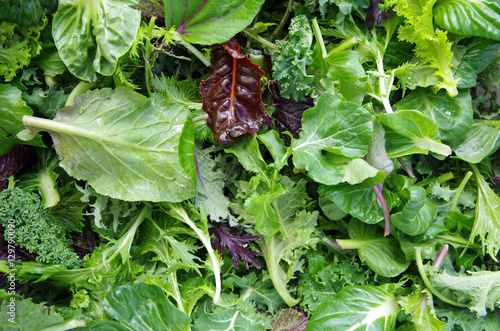 Fresh mixed salad field greens piled closeup view