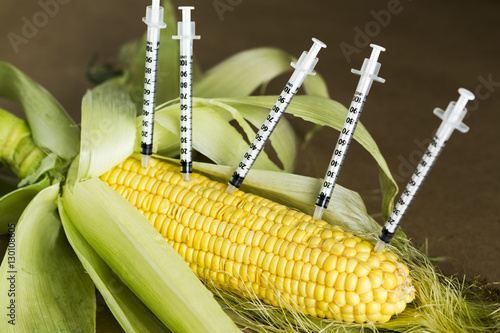 Concept, GMO Corn
