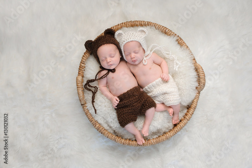 Fraternal Twin Baby Brother and Sister in Bear Hats