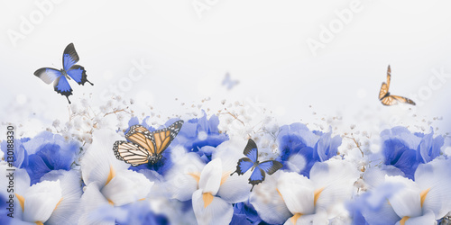 Amazing butterfly fairy of flowers, hydrangeas and iris.