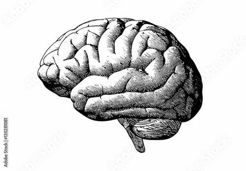 Engraving brain with black on white BG