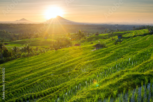 Beautiful sunrise over the Jatiluwih Rice Terraces in Bali, Indo