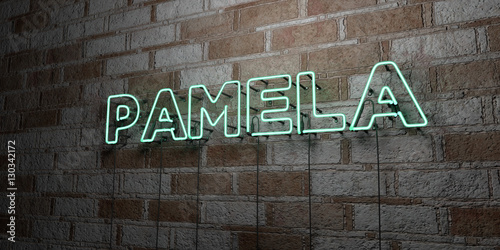 PAMELA - Glowing Neon Sign on stonework wall - 3D rendered royalty free stock illustration. Can be used for online banner ads and direct mailers..