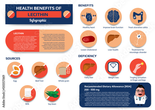 Health benefits of lecithin infographic including of sources, benefits and deficiency, supplement medical vector illustration for education.