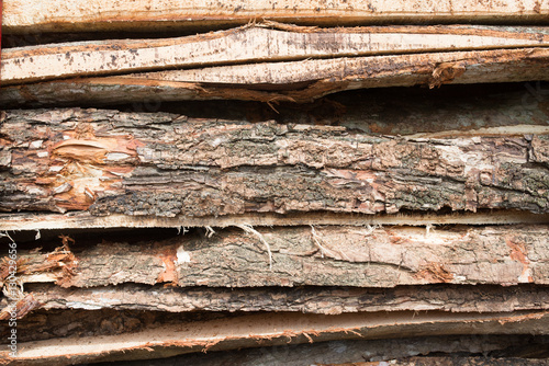 Wood Texture - Ecological Background..